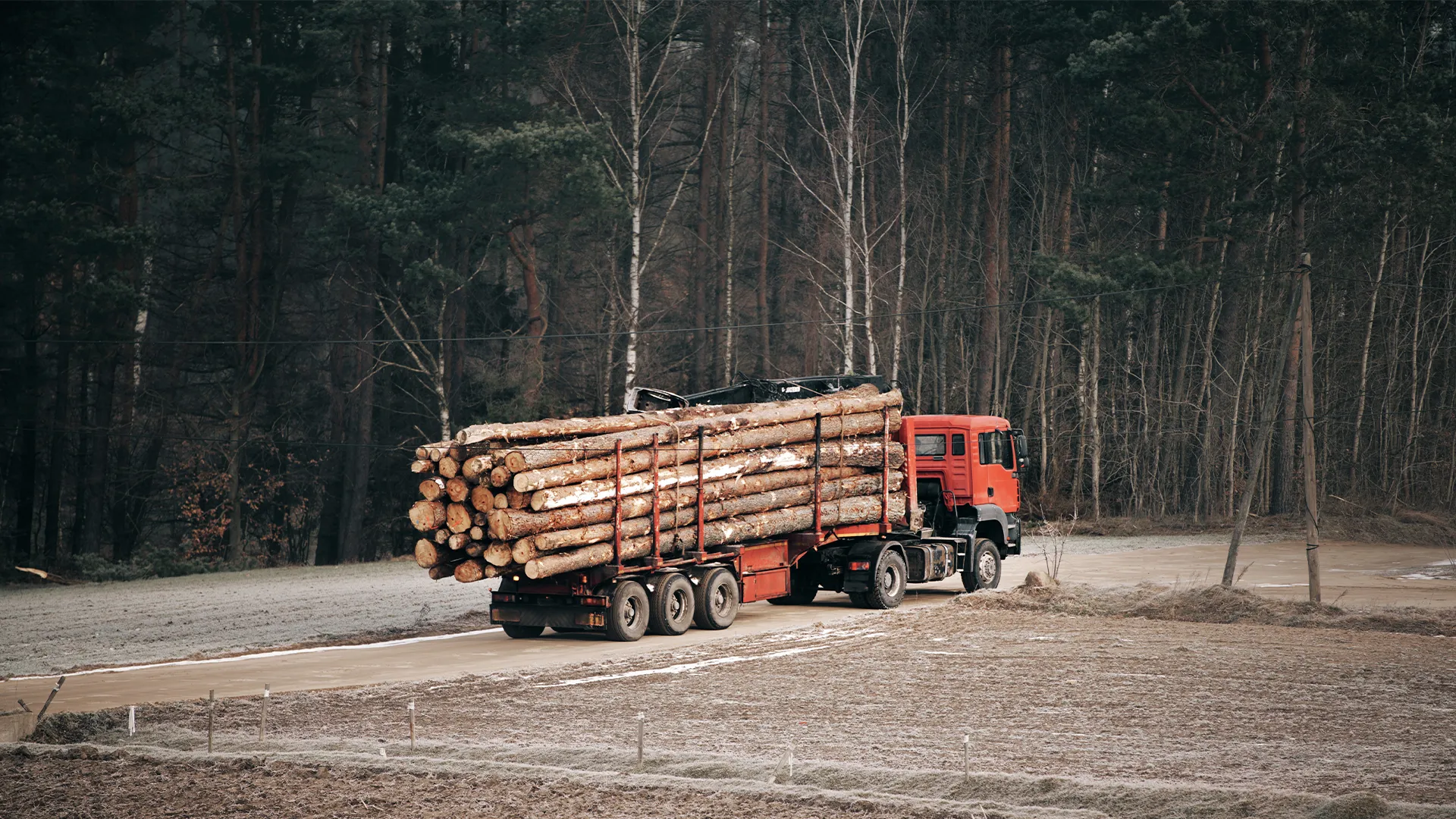 transporte madeira